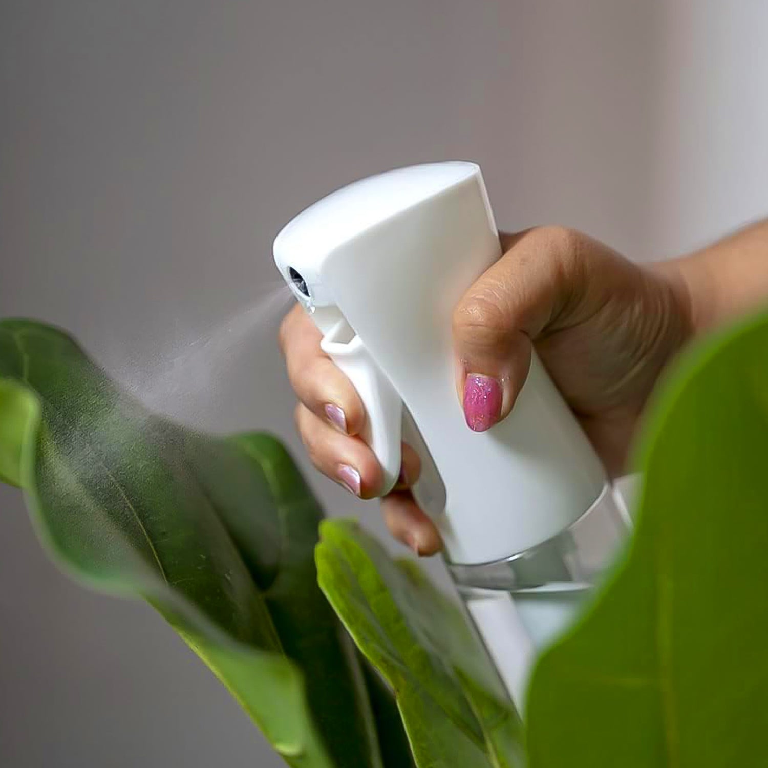 Plastic Oil Spray Bottle - Versatile Kitchen Gadgets (250 Ml Approx  With White Box)