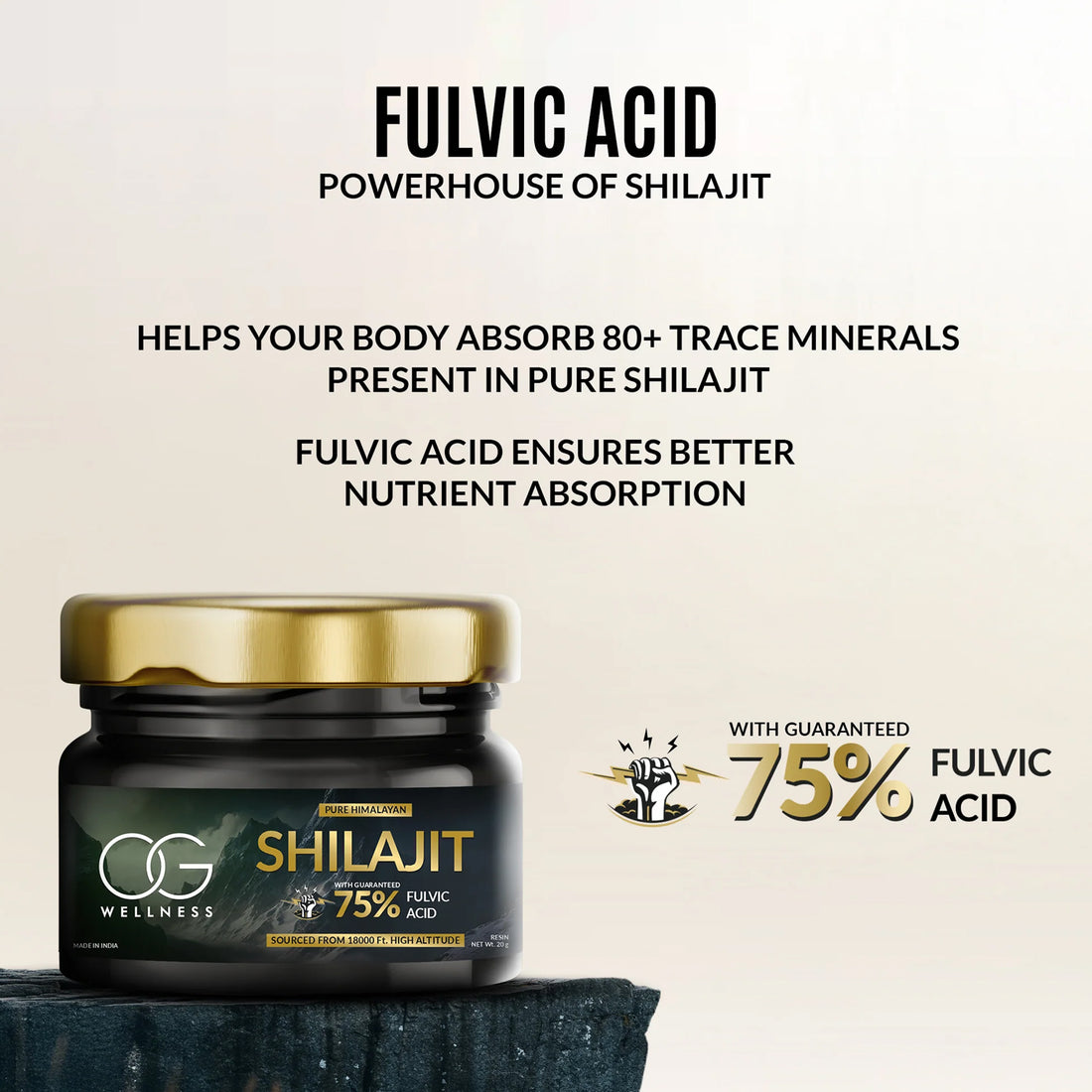 Og Wellness Pure Himalayan Shilajit Resin (20 Gm  1 Pc)