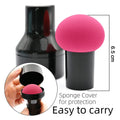 Professional Makeup Sponge Puff With Handle (1 Pc)